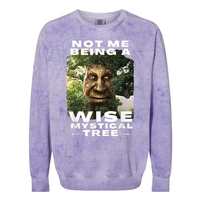 Wise Mystical Tree Face Old Mythical Oak Tree Funny Meme Colorblast Crewneck Sweatshirt