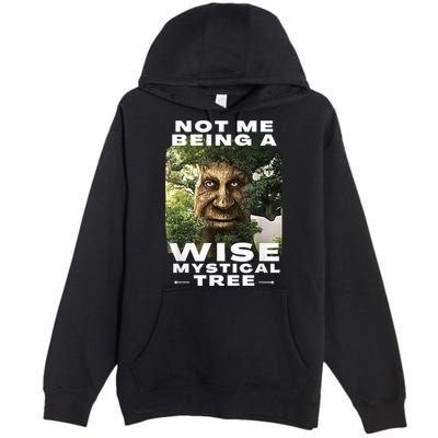 Wise Mystical Tree Face Old Mythical Oak Tree Funny Meme Premium Pullover Hoodie