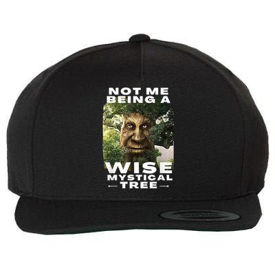 Wise Mystical Tree Face Old Mythical Oak Tree Funny Meme Wool Snapback Cap