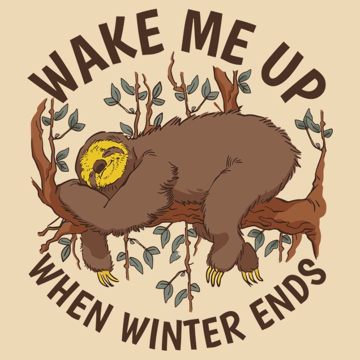 Wake Me Up When Winter Ends Sloth Bag