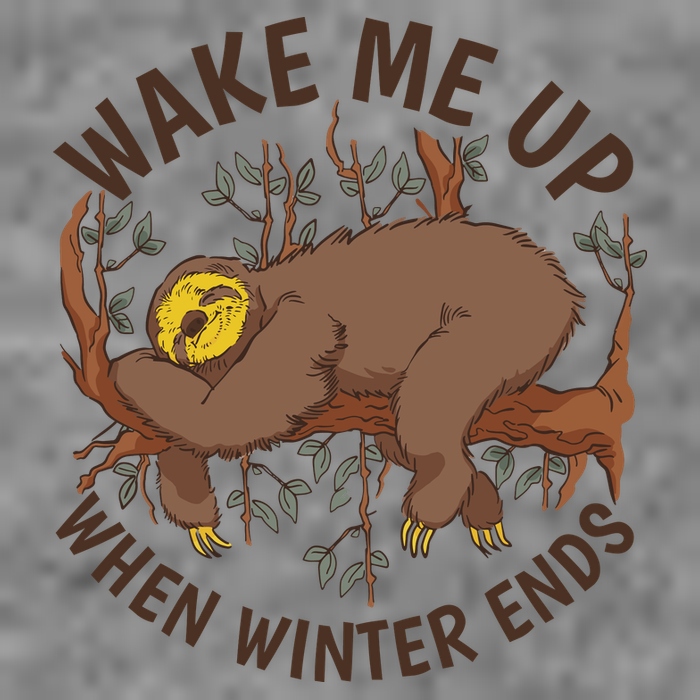 Wake Me Up When Winter Ends Sloth 7-Panel Snapback Hat