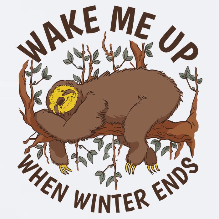 Wake Me Up When Winter Ends Sloth Sueded Cloud Jersey T-Shirt