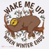 Wake Me Up When Winter Ends Sloth Poster