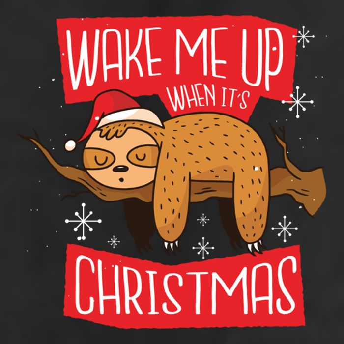 Wake Me Up When ItS Christmas Christmas Sloth Sweet Xmas Meaningful Gift Cool Comfort Performance Bucket Hat