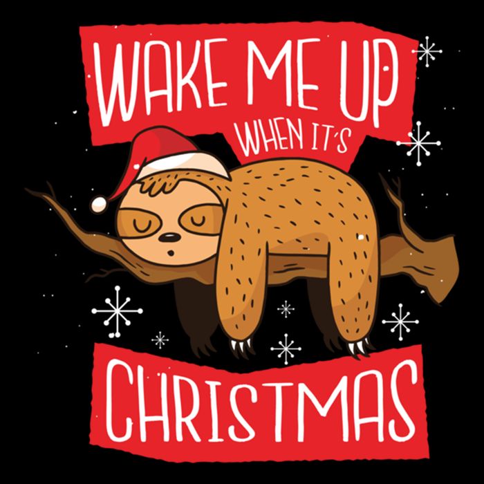 Wake Me Up When ItS Christmas Christmas Sloth Sweet Xmas Meaningful Gift Cooling Performance Long Sleeve Crew
