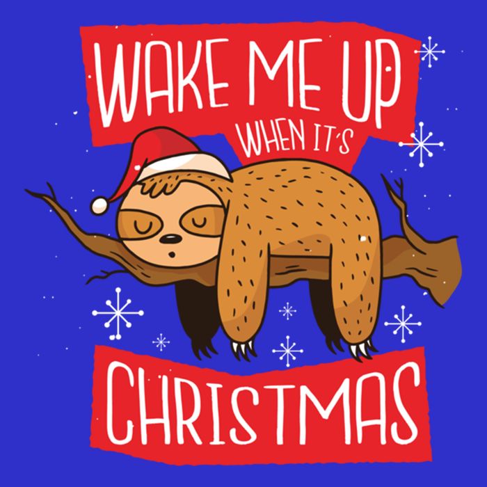 Wake Me Up When ItS Christmas Christmas Sloth Sweet Xmas Meaningful Gift 16 in Basic Backpack