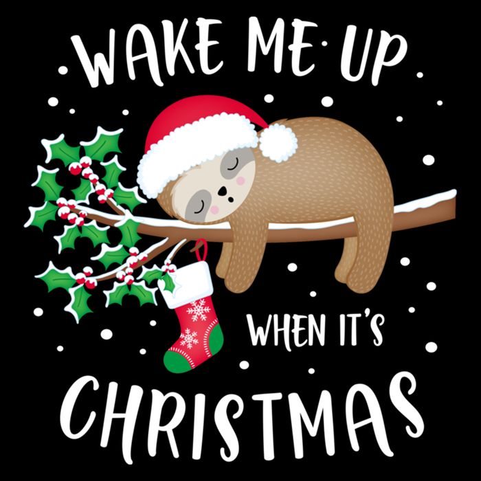 Wake Me Up When ItS Christmas Cute Sloth Gift 7-Panel Snapback Hat