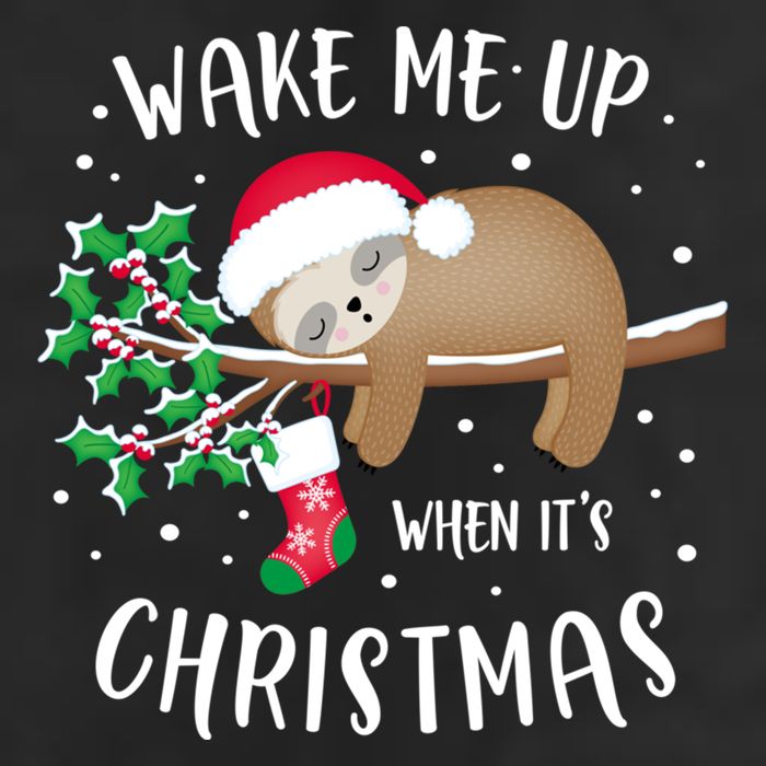 Wake Me Up When ItS Christmas Cute Sloth Gift 11oz C Handle Ceramic Mug