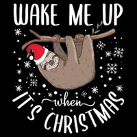 Wake Me Up When ItS Christmas Funny Sloth Xmas Gift Wool Snapback Cap