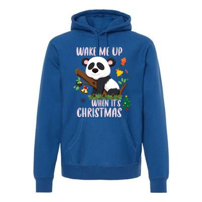 Wake Me Up When ItS Christmas Panda Xmas Martial Arts Class Gift Premium Hoodie