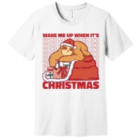 Wake Me Up When It's Christmas Sleeping Sloth Premium T-Shirt