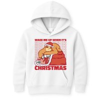 Wake Me Up When It's Christmas Sleeping Sloth Kids Hoodie