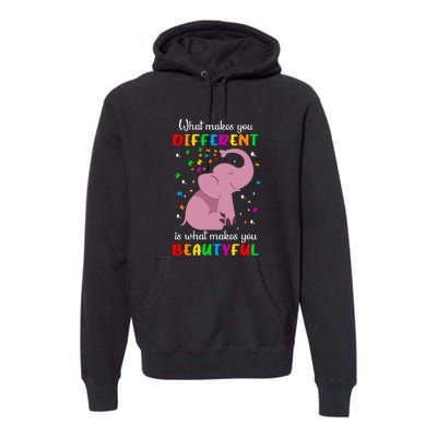 What Makes You Different Elephant Autism Awareness Day Premium Hoodie