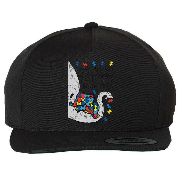 What Makes You Different Beautiful Elephant Autism Awareness Wool Snapback Cap