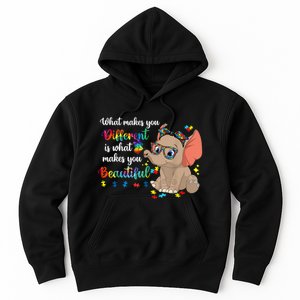 What Makes You Different Is What Makes You Beautiful Autism Hoodie