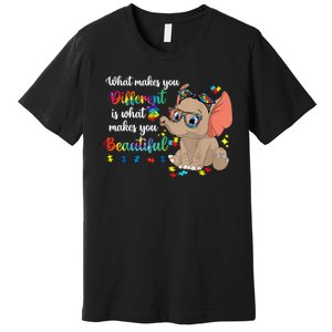 What Makes You Different Is What Makes You Beautiful Autism Premium T-Shirt