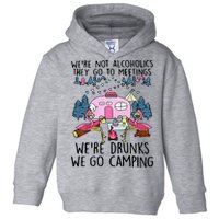 Were Not Alcoholics They Go To Meetings Drunk We Go Camping Toddler Hoodie
