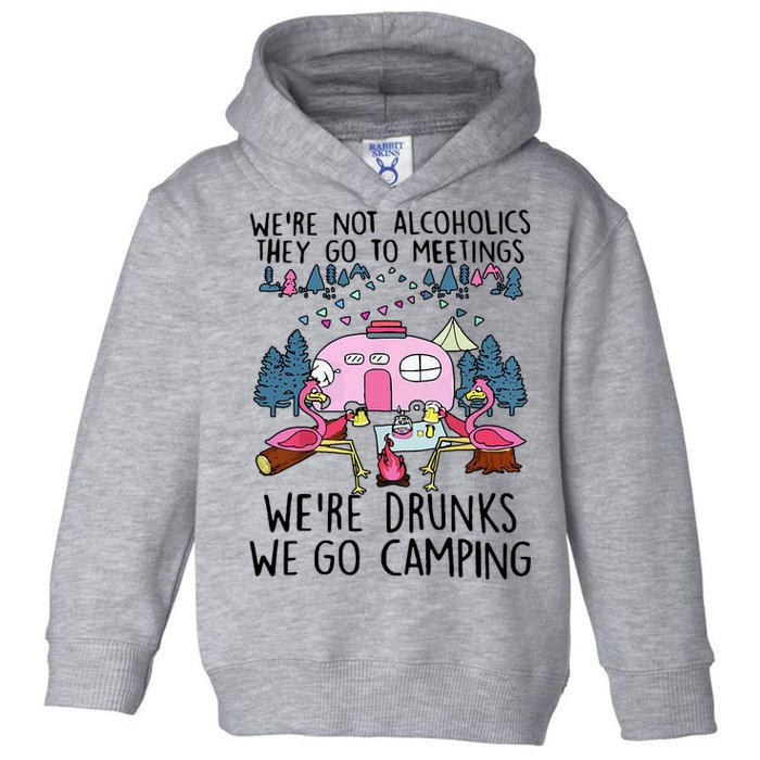 Were Not Alcoholics They Go To Meetings Drunk We Go Camping Toddler Hoodie