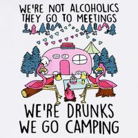 Were Not Alcoholics They Go To Meetings Drunk We Go Camping Youth Performance Sprint T-Shirt