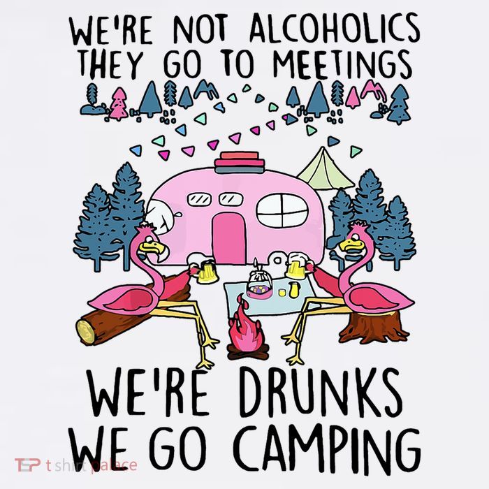 Were Not Alcoholics They Go To Meetings Drunk We Go Camping Wool Snapback Cap