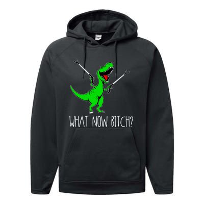 What Now Bitch Funny T Rex Dinosaur Performance Fleece Hoodie