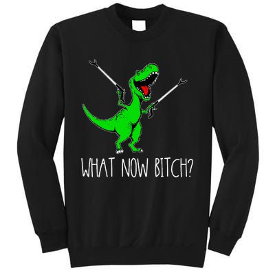 What Now Bitch Funny T Rex Dinosaur Sweatshirt