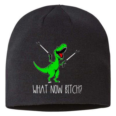 What Now Bitch Funny T Rex Dinosaur Sustainable Beanie