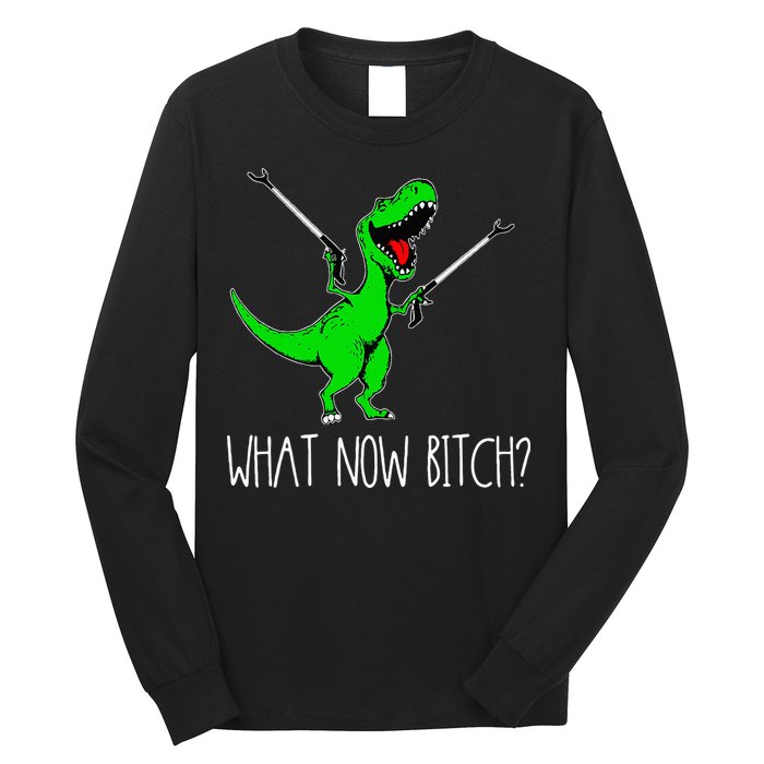 What Now Bitch Funny T Rex Dinosaur Long Sleeve Shirt