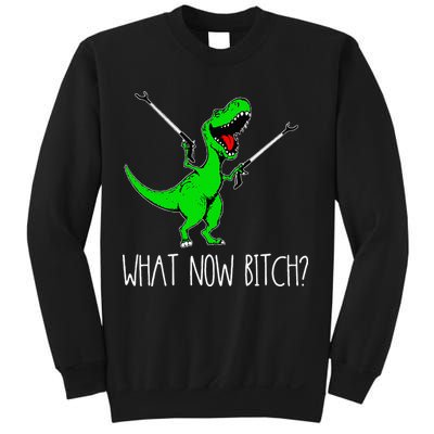 What Now Bitch Funny T Rex Dinosaur Sweatshirt