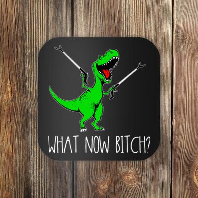 What Now Bitch Funny T Rex Dinosaur Coaster