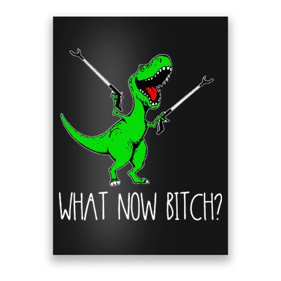 What Now Bitch Funny T Rex Dinosaur Poster