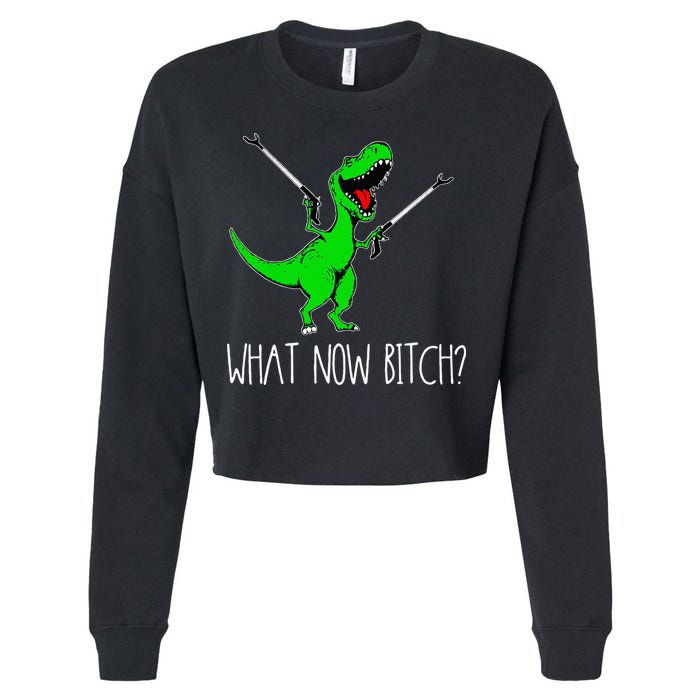 What Now Bitch Funny T Rex Dinosaur Cropped Pullover Crew