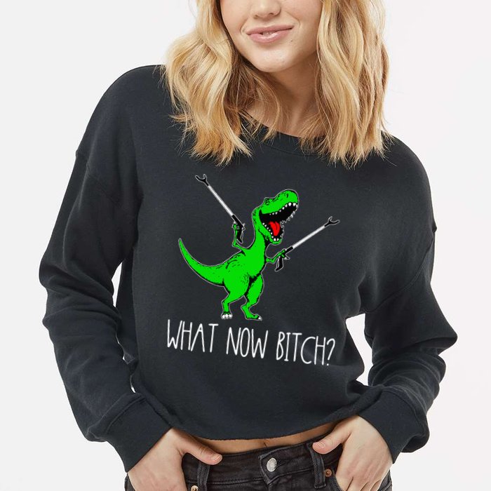 What Now Bitch Funny T Rex Dinosaur Cropped Pullover Crew