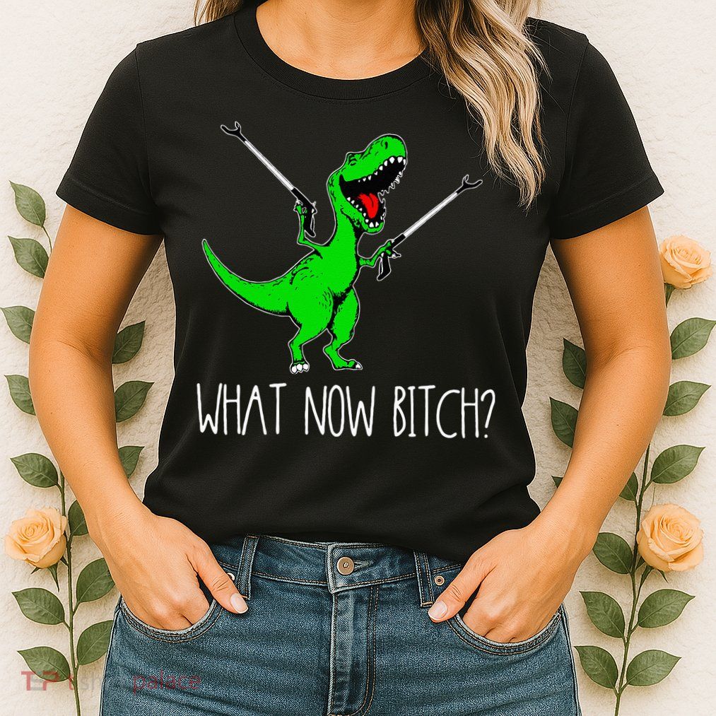 What Now Bitch Funny T Rex Dinosaur Womens T-Shirt