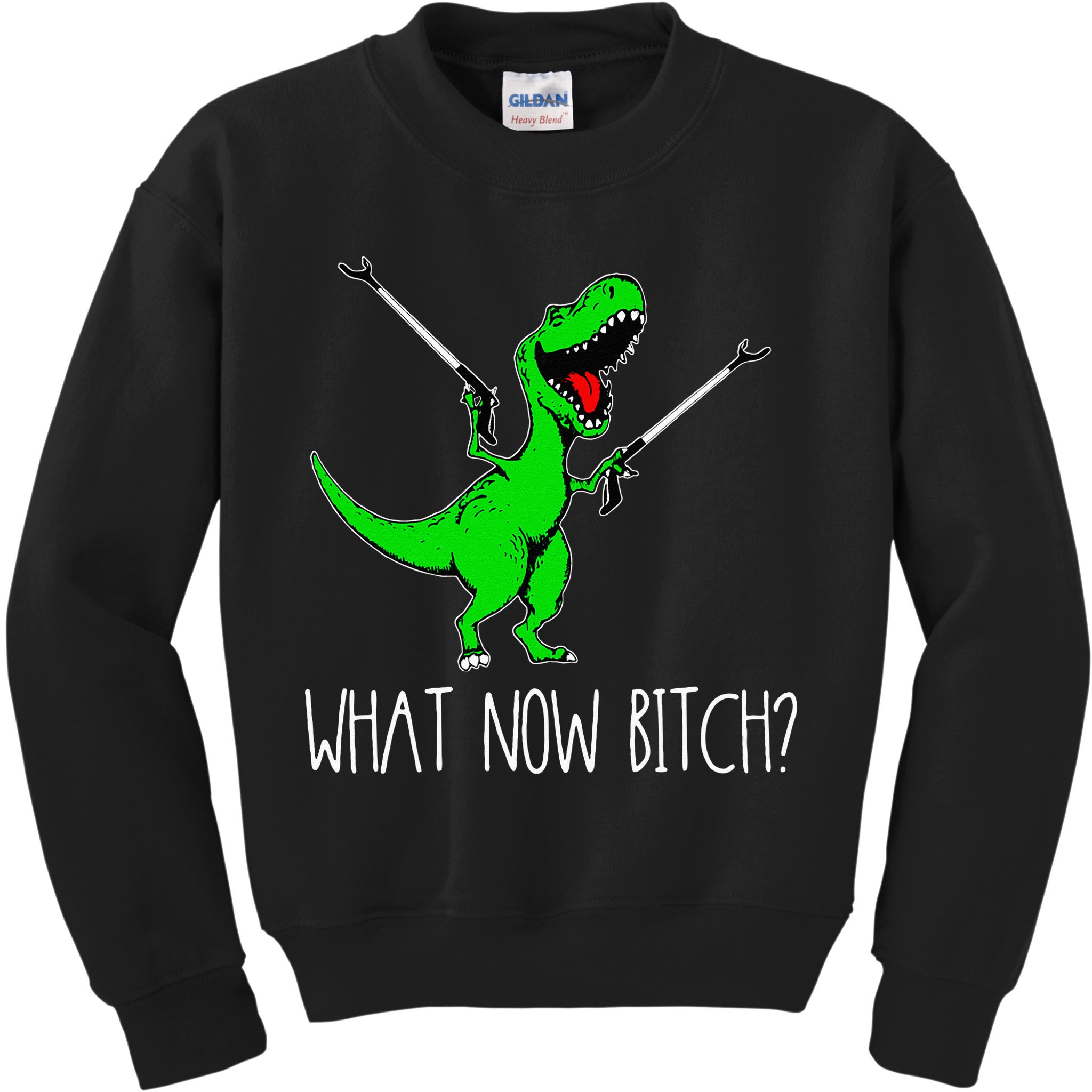 What Now Bitch Funny T Rex Dinosaur Kids Sweatshirt