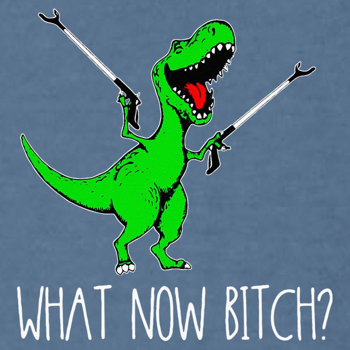 What Now Bitch Funny T Rex Dinosaur Garment-Dyed Sweatshirt