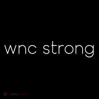 Western North Carolina Strong Asheville Support T-Shirt