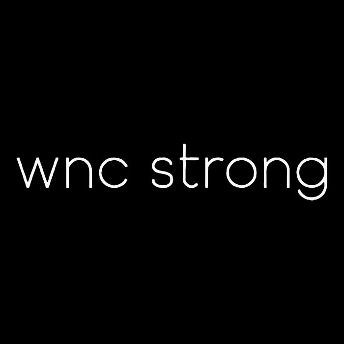 Western North Carolina Strong Asheville Support Toddler T-Shirt