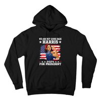 WeRe Not Going Back Vote For 2024 President Kamala Harris Hoodie