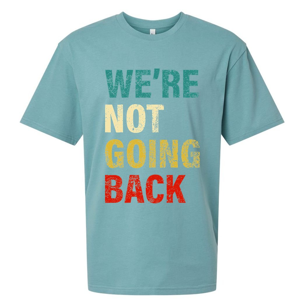 WeRe Not Going Back 2024 Sueded Cloud Jersey T-Shirt