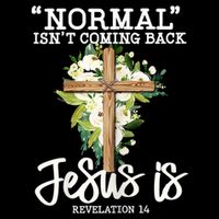 Womens Normal Isnt Coming Back Jesus Is Christian Flower Cross Stripe Pom Pom Beanie