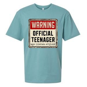 Warning Nager May Contain Attitude 13th Birthday Sueded Cloud Jersey T-Shirt