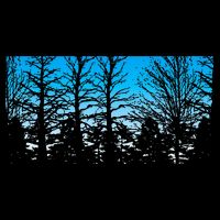 Wildlife Nature Outdoor Forest Trees Nature 16 in Basic Backpack