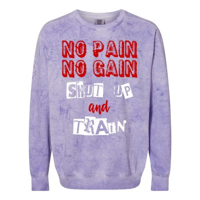 Workougift No Pain No Gain Shut Up And Train Gym Gift Cool Gift Colorblast Crewneck Sweatshirt