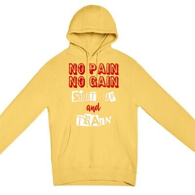 Workougift No Pain No Gain Shut Up And Train Gym Gift Cool Gift Premium Pullover Hoodie