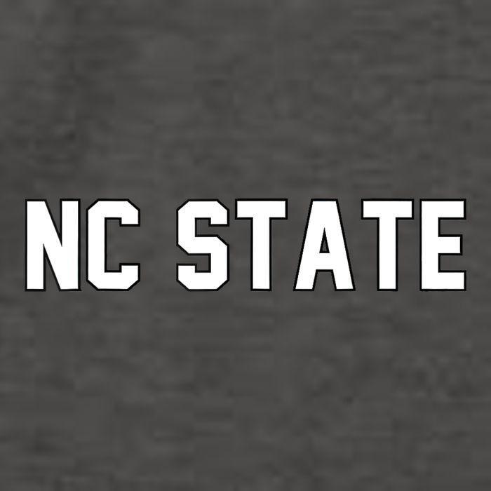 Why Not Us Nc State Vector Backpack