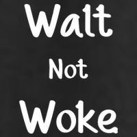Walt Not Woke 7 Panel Mesh Trucker Snapback Hat
