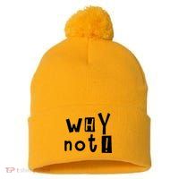 Why Not Pom Pom 12in Knit Beanie
