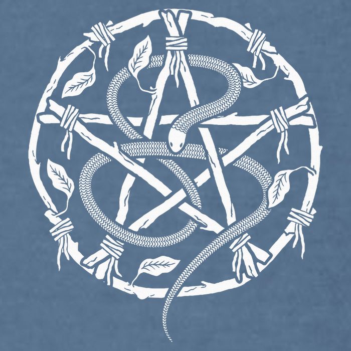 Wiccan Nature Witch Pentacle And Snake Garment-Dyed Sweatshirt