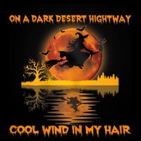 Witch On A Dark Desert Highway Tshirt Womens In Witch Tshirt Women's V-Neck T-Shirt